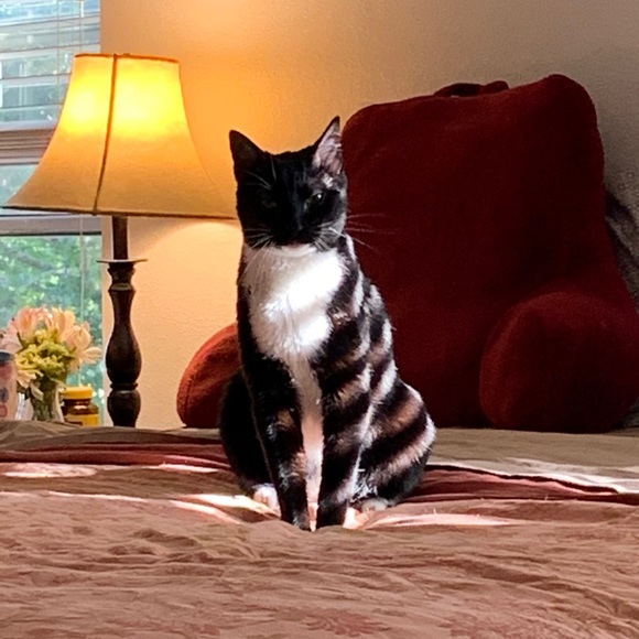 Hey guys :) - Picture 8 of 12